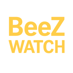 فروشگاه ساعت بیز