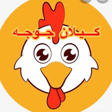 گیلان جوجه
