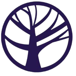 تخته نرد آلبرو