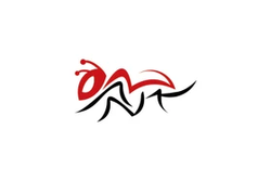 ردانت فیتنس