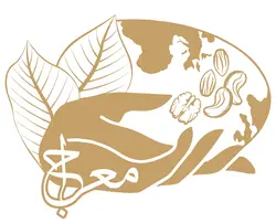 معراج بیکی
