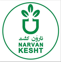 نهالستان نارون کشت