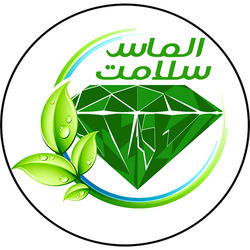 کره مغزیجات الماس سلامت