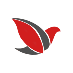 عطر و ادکلن نارسیسو