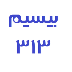 بیسیم ۳۱۳