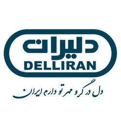 شرکت دلیران