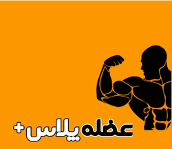 عضله پلاس