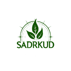 صدرکود