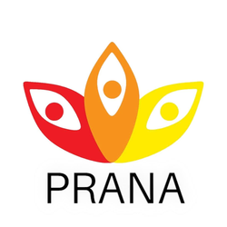 فروشگاه پرانا