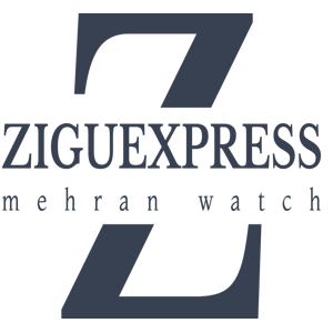 زیگو اکسپرس