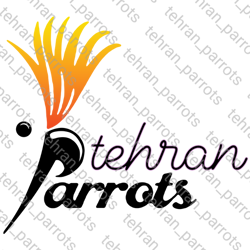 طوطی های تهران