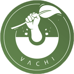 واچی