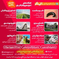 مرکز علوم و فنون آتی نگر