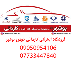 اپشن خودرویی بوشهر