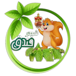 شهر فندق